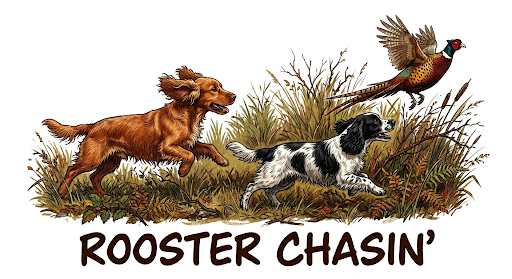Rooster Chasin’ Sticker